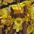 svg_mardi_gras_july5-047