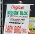 svg_mardi_gras_july5-104