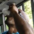 svg_rum_crawl_bus_ride_jul1-020