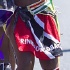 caribana_parade_2011-017