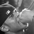 icon_may22-029