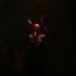 3canal_gala_show_feb23-132