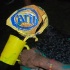 am_bush_mar6-029