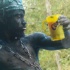 am_bush_mar6-087