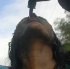 am_bush_mar6-108