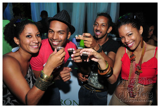 beach_house_2011_part1-155