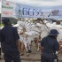 bliss_carnival_tuesday_2011_part1-093