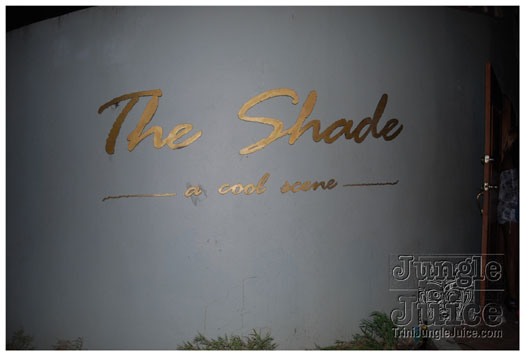 colours_of_shade_4_2011-128