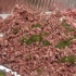 grub_and_grog_dec4-003