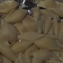grub_and_grog_dec4-023