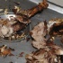 grub_and_grog_dec4-039