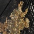 grub_and_grog_dec4-043