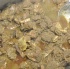 grub_and_grog_dec4-047