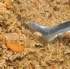 grub_and_grog_dec4-051