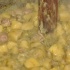 hysteria_carnival_cookoff_2011-045