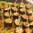 island_people_band_launch_2012-062