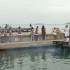 la_barge_ddi_may15-001