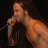 rumland_2011-211