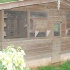 shades_sep24-024