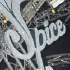 spice_band_launch_2011-001