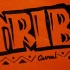 tribe_ice_jan8_2011-130