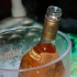tribe_ice_jan8_2011-131