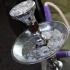 shipwrecked_all_inclusive_2011-038