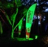 bliss_2012_pt1-001