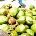 booze_cruise_2012-031