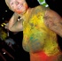 mix_nutz_2012_part1-177