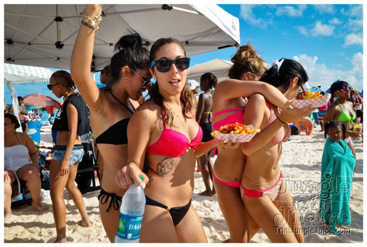 beach_fest_2012-029