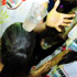 bacchanal_jouvert_2012_pt2-179