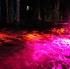 kampai_2012-012