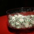 christmas_under_the_trees_dec22-004