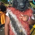 toronto_caribana_parade_2012_pt2-296