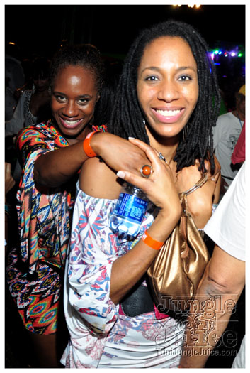 beach_house_2012_part3-134