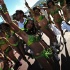 bliss_carnival_tuesday_2012-081