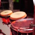 chow_chow_dec8-004