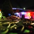 chow_chow_dec8-024