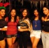 chow_chow_dec8-032