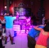 chow_chow_dec8-090