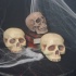 haunted_mansion_2012_oct27-112