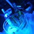 hot_samba_nights_2012-025