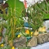 iron_pot_curry_duck_explosion_apr29-013