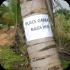 island_local_save_turtle_mar4-025