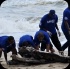 island_local_save_turtle_mar4-064