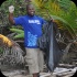 island_local_save_turtle_mar4-085