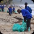 island_local_save_turtle_mar4-093