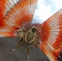 island_people_mas_tuesday_2012_part2-096