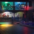playtime_bunnies_mar31-014